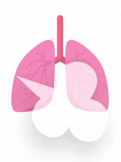 COPD in America 2016 - COPD.net