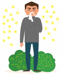 What is Hay Fever - Allergy Guide - Sisal and Seagrass