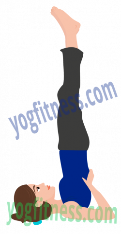 Sarvangasana – The Shoulder Stand | Yoga Fitness