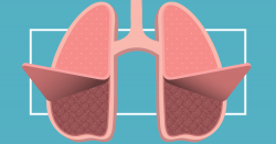 Lung Disease: What You Need to Know to Breathe Easy | UNC ...