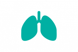 About IPF — European Idiopathic Pulmonary Fibrosis & Related ...