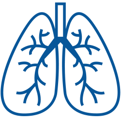 COPD - Chronic obstructive pulmonary disease | Biomedix