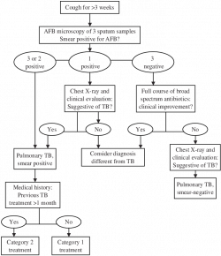 Algorithm for diagnosis of pulmonary tuberculosis. Category 1 ...
