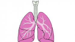 Early detection can offer relief from lung diseases