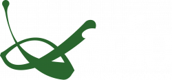 Bedwetting - ADIO Chiropractic