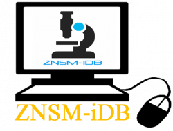 ZNSM-iDB: Ziehl Neelsen Sputum smear Microscopy image DataBase