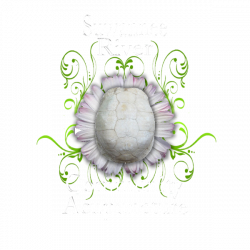 Homeopathy » Suwannee Acupuncture