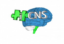 iCNS | Neurofeedback, Counseling | San Antonio