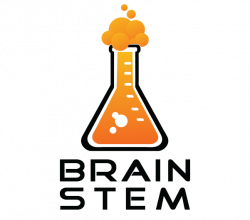 Clubs & Activities / Brain STEM