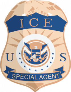 Supervisory Criminal Investigator (Assistant Attache) - Immigration ...
