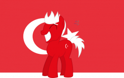 686919 - grin, nation ponies, safe, solo, turkey (country), turkish ...