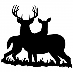 Free Deer Graphics, Download Free Clip Art, Free Clip Art on ...