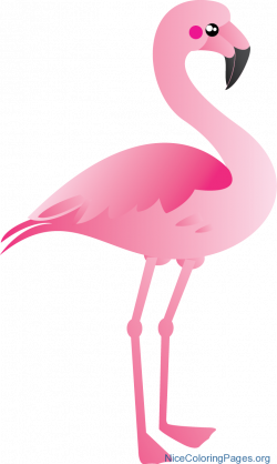 Flamingo clipart png | Nice Coloring Pages for Kids