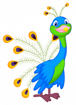 10.png | Peacock, Clip art and Animal