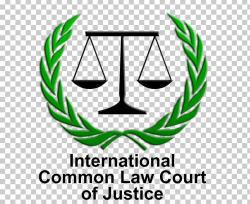 International Court Common Law Judge Crime PNG, Clipart ...
