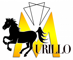 Murillo International Real Estate Group