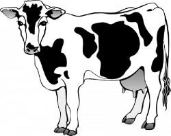 Beef cow head clip art - crazywidow.info