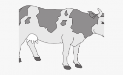 Cow Clipart Colored - Dairy Cow #148244 - Free Cliparts on ...