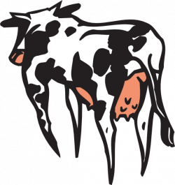 Rear clipart cow - Pencil and in color rear clipart cow
