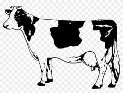 Mammal,Vertebrate,Dairy cow,Bovine,Canidae,Dog breed,Black ...