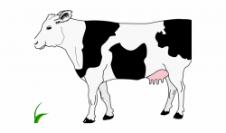 Cattle Clipart Cow Head - Match The Animals With Their ...