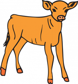 Baby Cow Cliparts#4255229 - Shop of Clipart Library
