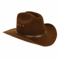 Cowboy Hat PNG Transparent Free Images | PNG Only
