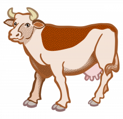 cow - coloured Icons PNG - Free PNG and Icons Downloads