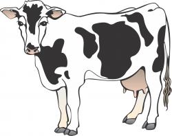 Cartoon Cow 22 clipart free image