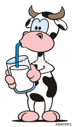 Cow drinking Milk