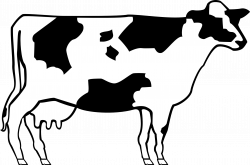 Drawn profile of spotted cow free image