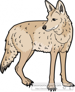 From: Coyote Clipart | Clipart Panda - Free Clipart Images