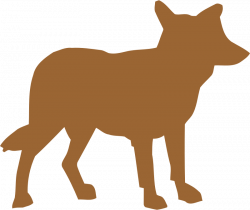 Clipart - Coyote vectorized