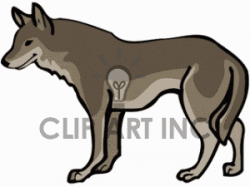 Coyote Clipart | Free download best Coyote Clipart on ...