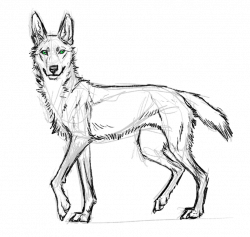 Dingo Drawing at GetDrawings.com | Free for personal use Dingo ...