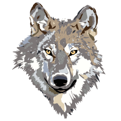 wolf head 3 - /animals/W/wolf/wolf_head/wolf_head_3.png.html