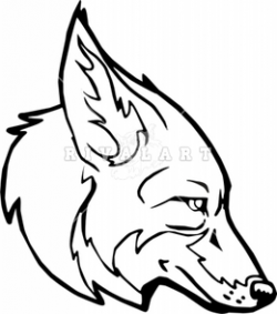 Download coyote head drawing clipart Coyote Drawing Clip art