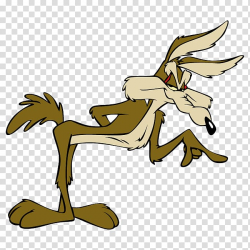 Wile E. Coyote and the Road Runner Cartoon , Wile Coyote ...