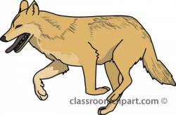 Wolf clipart gray wolf standing - ClipartAndScrap