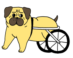 Pug Clipart dry dog - Free Clipart on Dumielauxepices.net