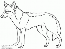 Free Pictures Of A Coyote, Download Free Clip Art, Free Clip ...