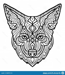 Wild Beautiful Coyote Head Hand Draw White Background Zen ...