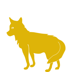 Coyote Clipart Land Animal#3196896