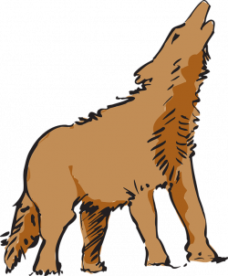 19 Coyote clipart HUGE FREEBIE! Download for PowerPoint ...