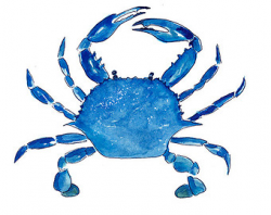 Image of blue crab clipart 1 blue crab logo images ...