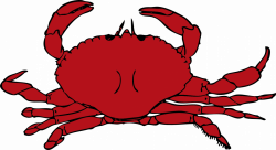 A Cartoon Illustration Of Hermit Crab Smiling Stock Vector Art ...