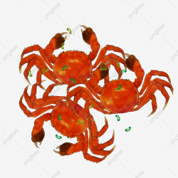 Hand Painted Crab Steamed Crab Boiled Crab, Big Crab ...
