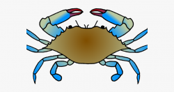 Marina Clipart Crab Drawing - Blue Crab Drawing Easy #81449 ...