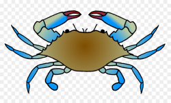Seafood Background clipart - Crab, Food, transparent clip art