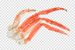 Red king crab Chinese mitten crab Hanasaki Crab, HD crabs ...